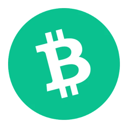 Bitcoin Cash Casinos website logo